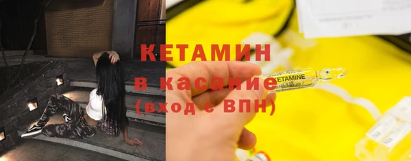 стаф Алзамай