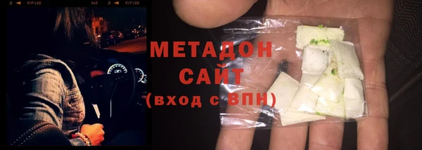 стаф Алзамай